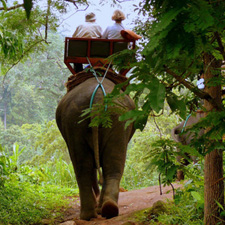 mae hong son elephant trek