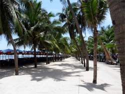 The Beach at Bang Saen