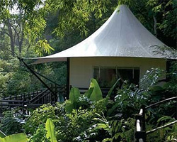 chiang mai jungle accommodation