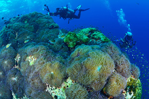 scuba diving thailand