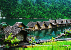 Khoa Sok national park